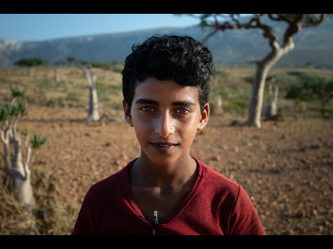 Sokotra 2023/Socotra island 2023/ Trip/Tours/Holiday/Vacation/Expedice