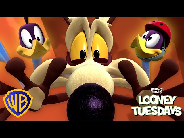 Vídeo relacionado con Play by Play - Peluche Colección Coyote, Correcaminos (Coyote)