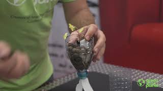 Thumbnail for video: How to build a simple wicking hydroponics system!