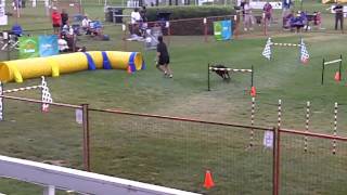 2010 Sasha's Blend Steeplechase Finals
