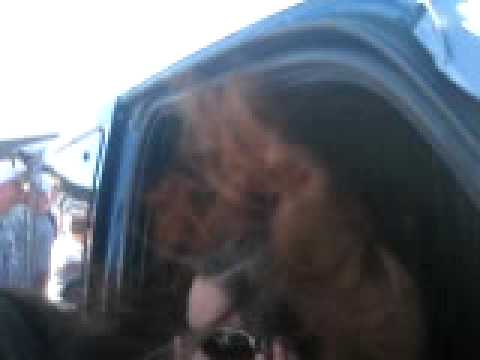 The Ultimate Hair Trick! King of the Streets Bass Race Taylor 2x Steve Mick vs Pete Sontag Awesome!