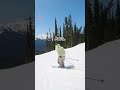 I Tomahawked Down The Mountain Ski Parkskiing Skiing Skiresorts