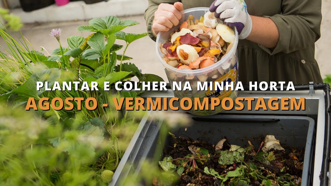 Agosto - Vermicompostagem