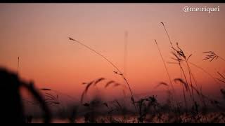 Chris Renzema - “How To Be Yours'' [trad. pt.]