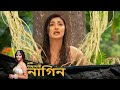 Phir Laut Aayi Nagin আবার ফিরে এলো নাগিন Full Episode 23 Bangla TV S