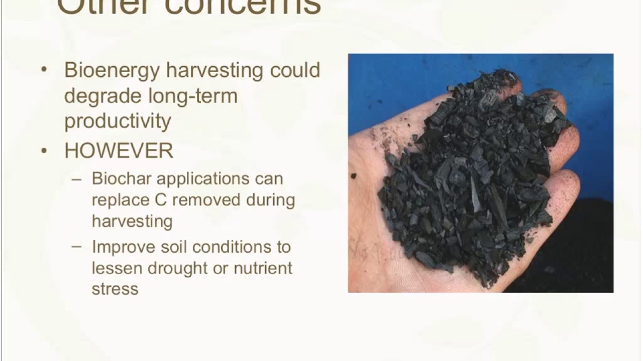 Webinar: Lifecycle Assessment and Economics of Biochar From Forest Residues 20170823 1700 1