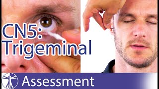 Cranial Nerve 5 | Trigeminal Nerve Assessment for Physiotherapists