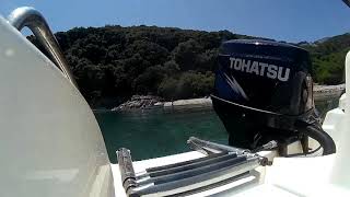 Tldi tohatsu 50