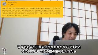 迷子の猫を探すいい方法は?