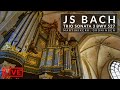 🎵 JS Bach - Trio Sonata No 3 in D Minor BWV 527 | Martinikerk, Groningen