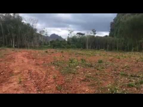 Three Rai Flat Krabi Land Plot with Majestic Mountains in the Distance