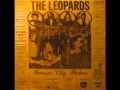 The Leopards Raggedy Andy Raggedy Ann 1977