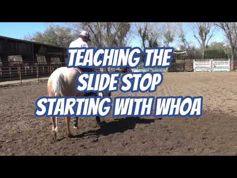 START THE SLIDE STOP #MPHorseTraining #teaching #whoa #horsetraining #tips #horseriding #horsevideo