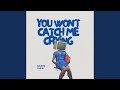 You Won’t Catch Me Crying (Final Version)