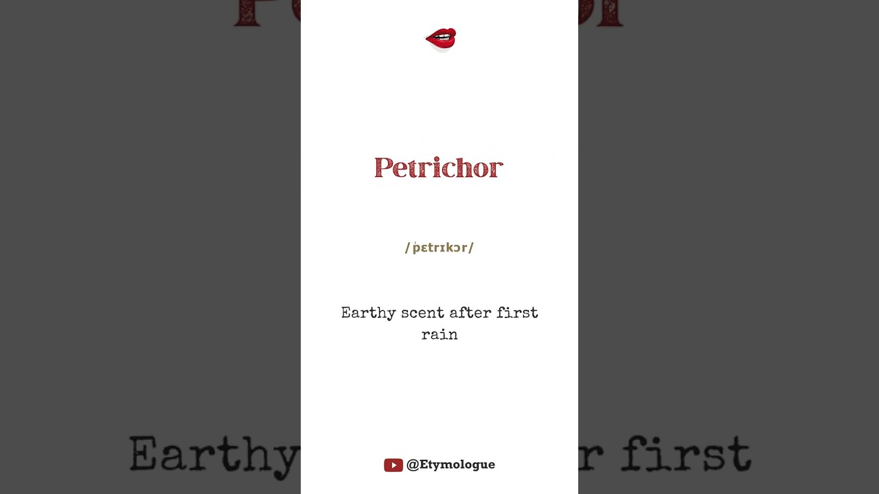 Word of the Day: Petrichor – Meaning, Origin & Use | @Etymologue