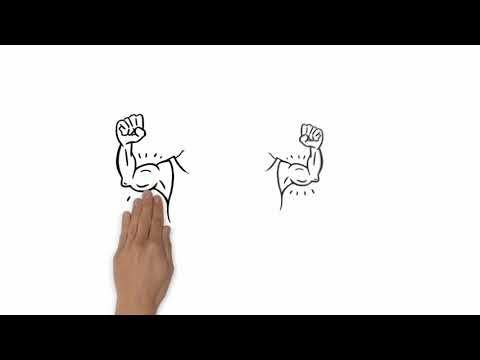 Was ist HF-Bioenergetik?