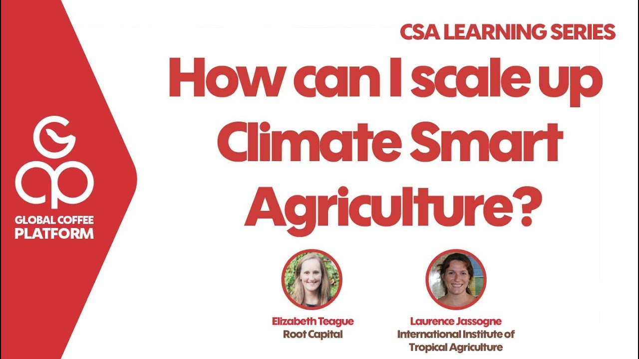 CSA Learning Series - Module 4