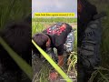 Detik Detik Sikomat Bikin Ngakak