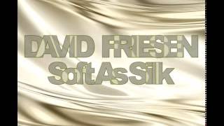 David Friesen _ Soft as Silk