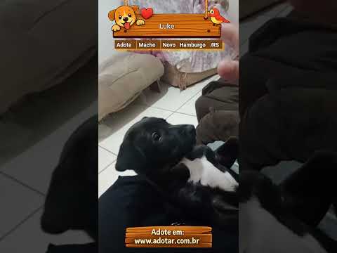 Vídeo de Luke 