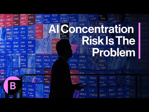 AI Concentration Risk Is the Problem: 3-Minutes MLIV