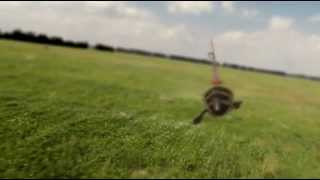 Alexandre Desplat - River