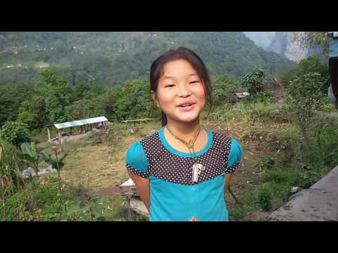 Love me like you do english song from sorip lepcha Love me like you do english song from sorip lepcha
