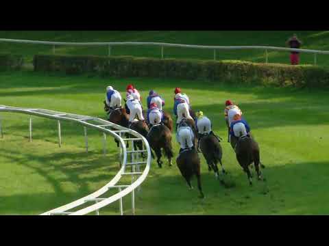 Dielsdorf/24.09.2017/42. Grand Prix Land Rover - Jockey Club
