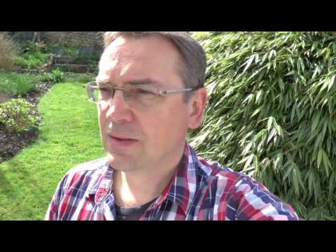 Lithuanian Lesson 30 - Būdvardis - Adjective