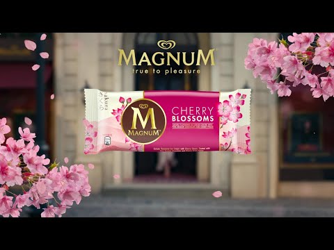 NEW Magnum Cherry Blossoms