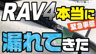 [討論] RAV4 日本漏水災情