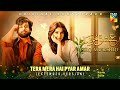 Tera Mera Hai Pyar Amar Ishq Murshid OST Extended Version Singer Ahmed Jehanzeb HUM TV 256k