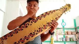 Download lagu Dayakng janjola kover sape  By:Dastin page diri.. mp3