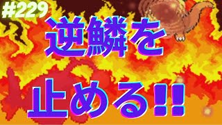 ドラゴンタイプは最強！？【ポケモンBWオンライン対戦その229】
