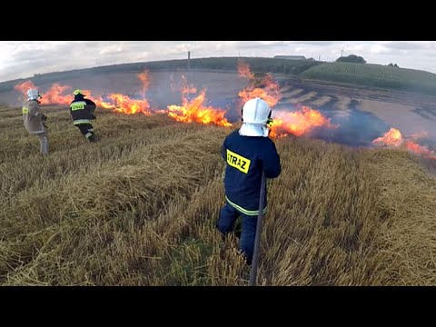 POŻAR ŚCIERNISKA 15/2020