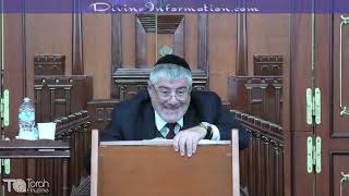 סדרת דרך האל (Luzzatto) #6