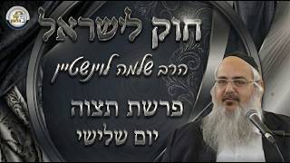 חוק לישראל - פרשת תצוה - יום שלישי | הרב שלמה לוינשטיין (ארגון קול הלשון) - התמונה מוצגת ישירות מתוך אתר האינטרנט יוטיוב. זכויות היוצרים בתמונה שייכות ליוצרה. קישור קרדיט למקור התוכן נמצא בתוך דף הסרטון