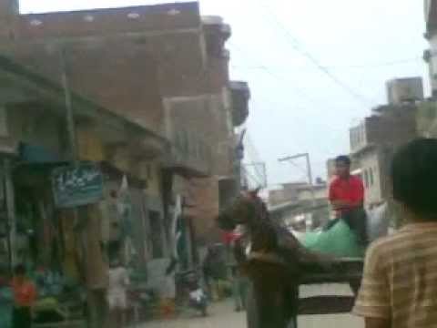 gufran mughal pasrur