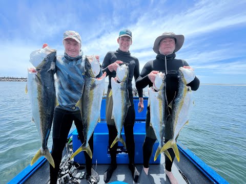 Diving with Whales | Dassen Island Spearfishing | South Africa