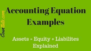 The Accounting Equation: What It Is & The Effects of Common Transactions