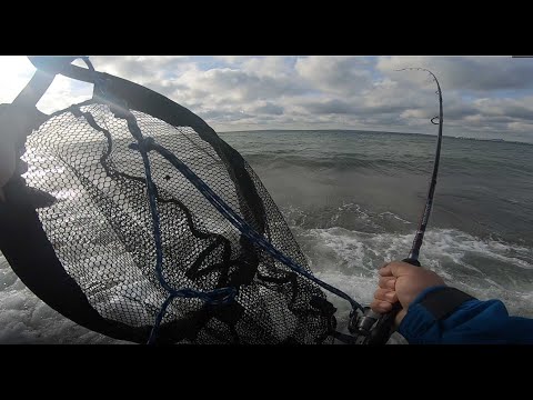 Havørred - En solrig torsdag på Mols