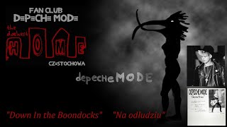 Down In the Boondocks - Martin Lee Gore  - tekst i tłumaczenie