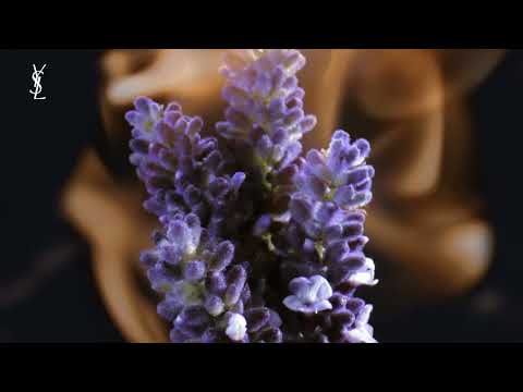 Yves Saint Laurent Libre Le Parfum For Women 90ml