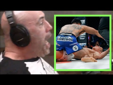 Joe Rogan Reacts to Henry Corrales KO'ing Aaron Pico