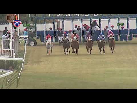 RM8 R5 | Consul Of War | S.Rama