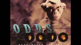 The Odds - Eat My Brain