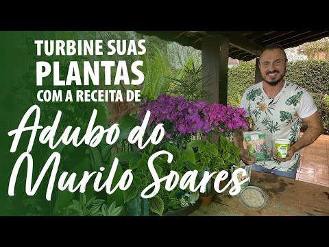 , title : 'TURBINE suas PLANTAS - A RECEITA de ADUBO do MURILO SOARES'