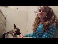 MEET THE YOUTUBER THAT HAS S*X WITH HER DOGS