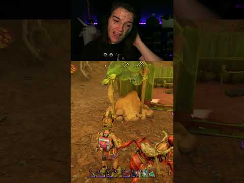 Best Evidence Cats Actually Understand Us #gamer #grounded2 #funnycat