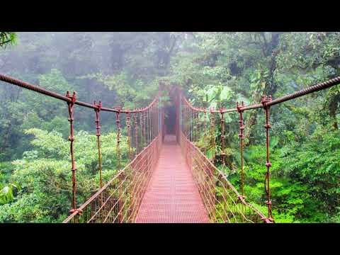 Chill Trap Type Beat - "Destiny" (Prod. CERQ)